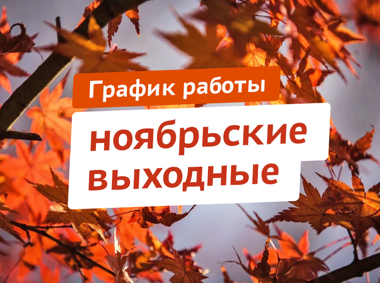График работы в период ноябрьских праздников